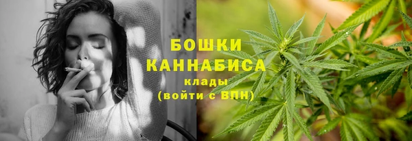 эйфоретик Дмитриев