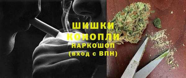 эйфоретик Дмитриев